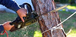 Best Lawn Watering Services  in Kihei, HI