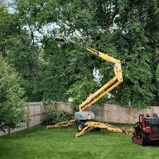 Best Tree Risk Assessment  in Kihei, HI