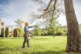Best Lawn Irrigation Installation and Maintenance  in Kihei, HI