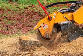 Best Emergency Tree Removal  in Kihei, HI